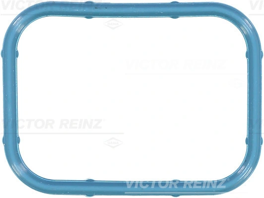 Gasket, intake manifold